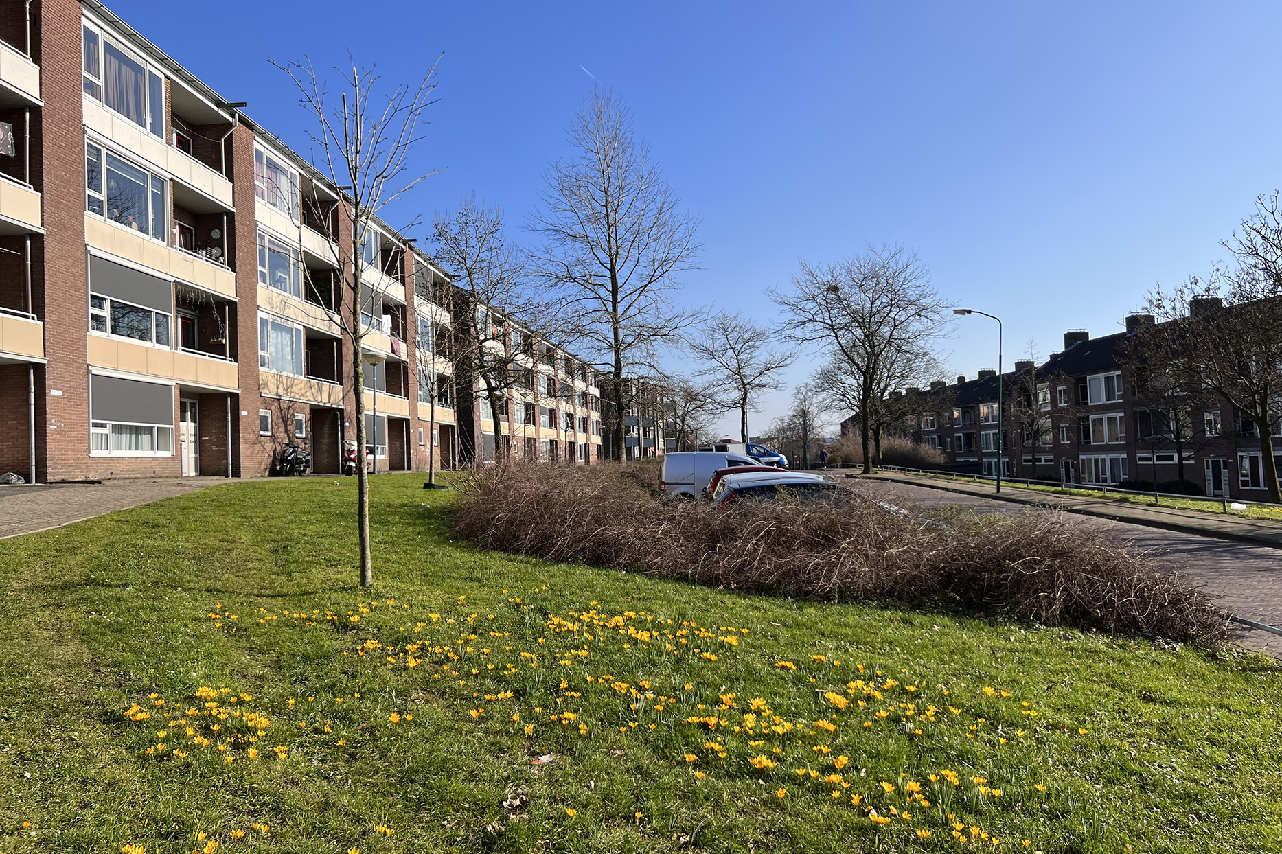 Opdracht voor gebiedsvisie Dokter Wallerstraat in Rhenen