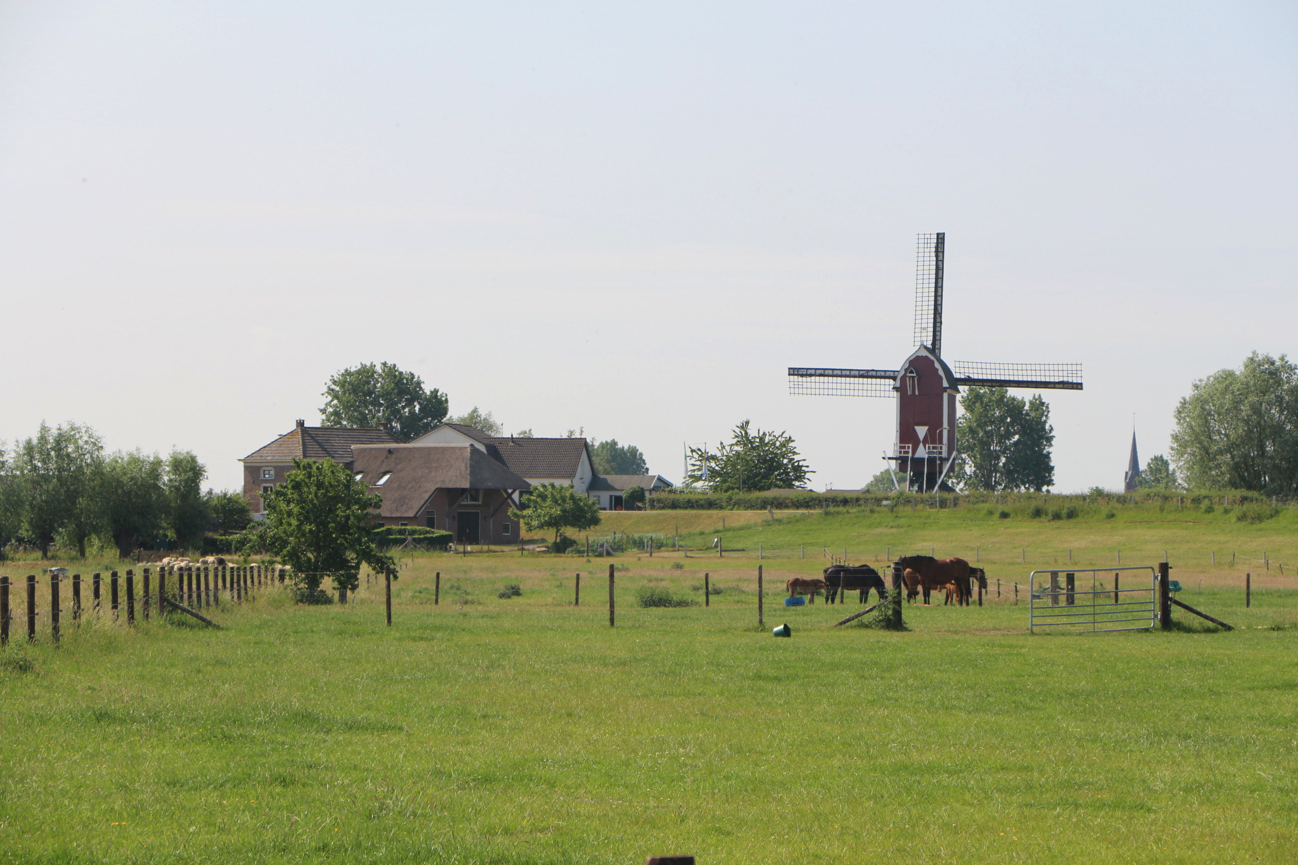 Omgevingsvisie West Maas en Waal