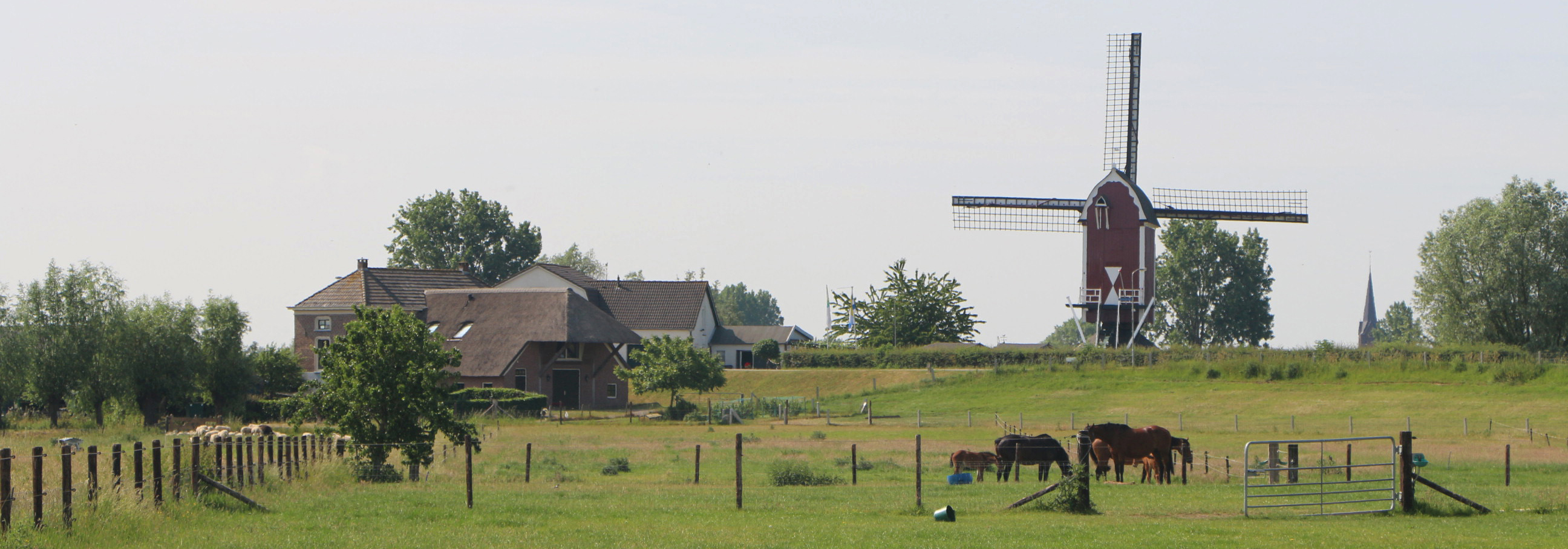 Omgevingsvisie West Maas en Waal